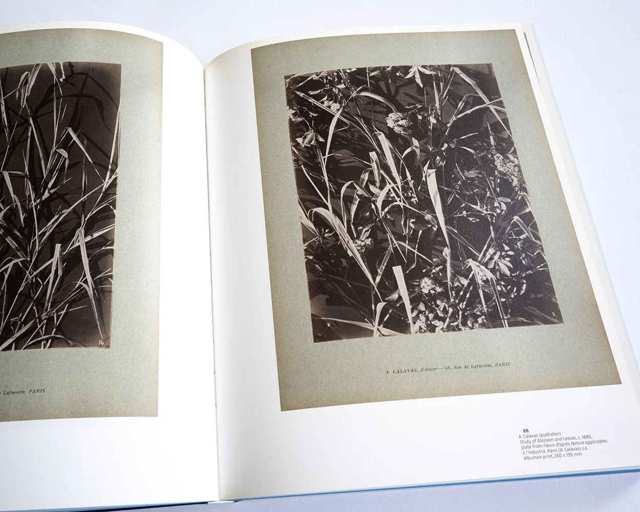 Karel Martens:Printed Matter/Drukwerk — bookdummypress